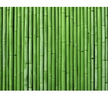 Панорамы. Зеленый бамбук (PAN 0056)