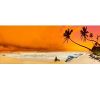 Панорамы. Пальмы пляж (PAN 0048)